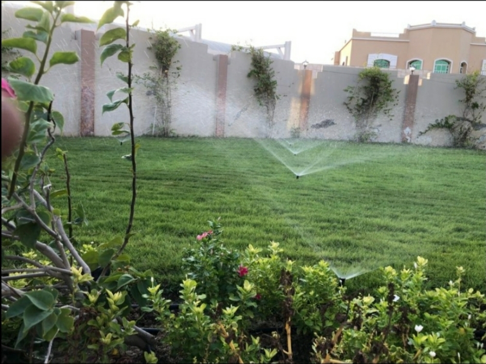 زراعه جميع انواع العشب الطبيعى٠٠ - 4