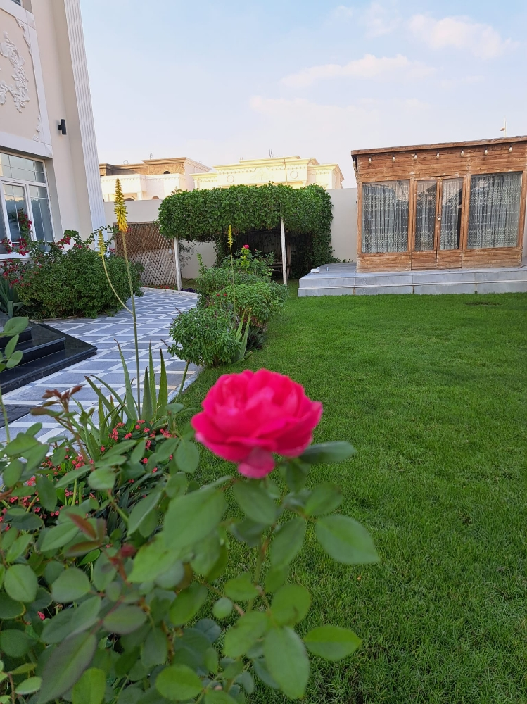 صيانة الحدائق - 12
