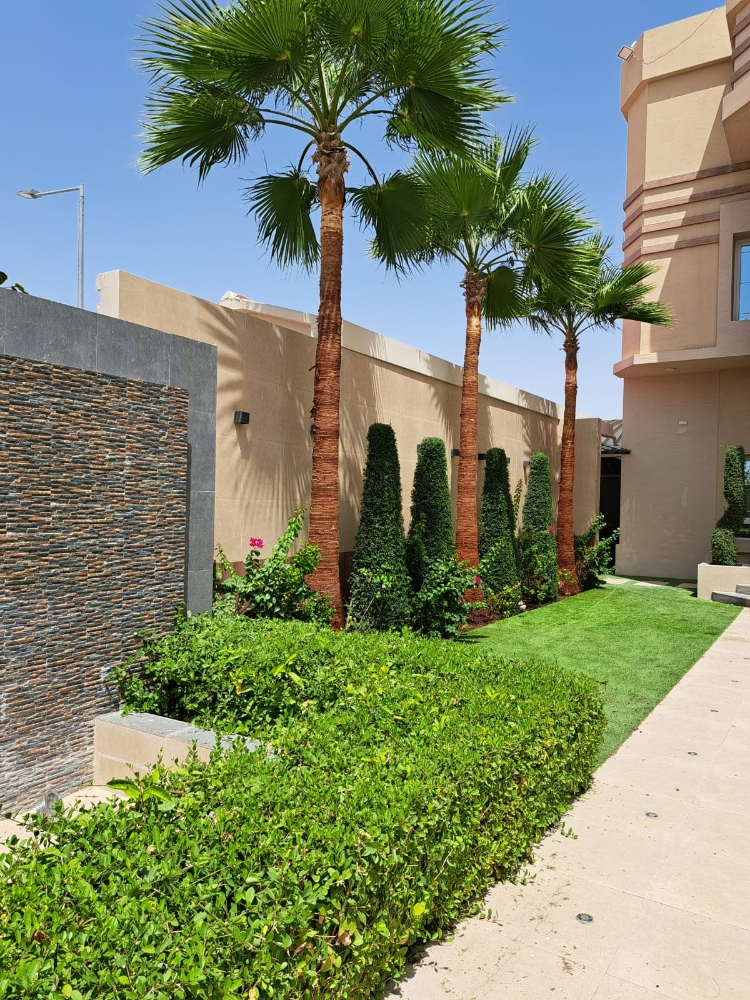 صيانة الحدائق - 1