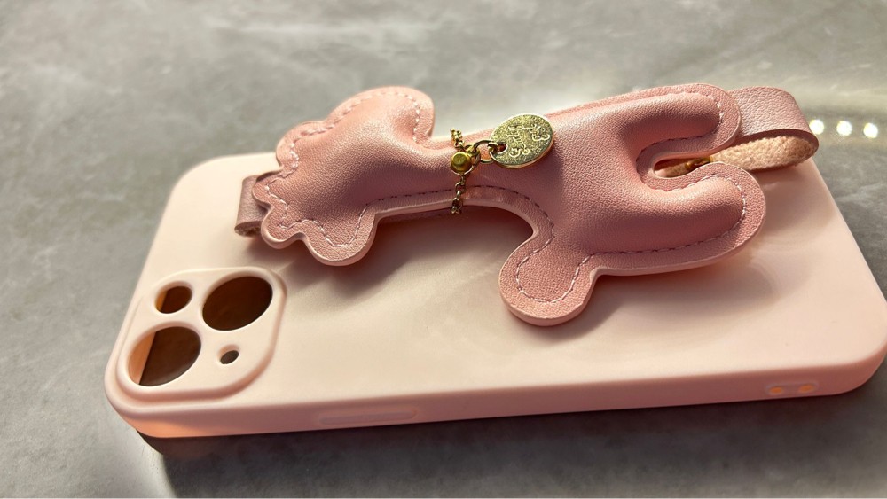 iPhone cases - 5
