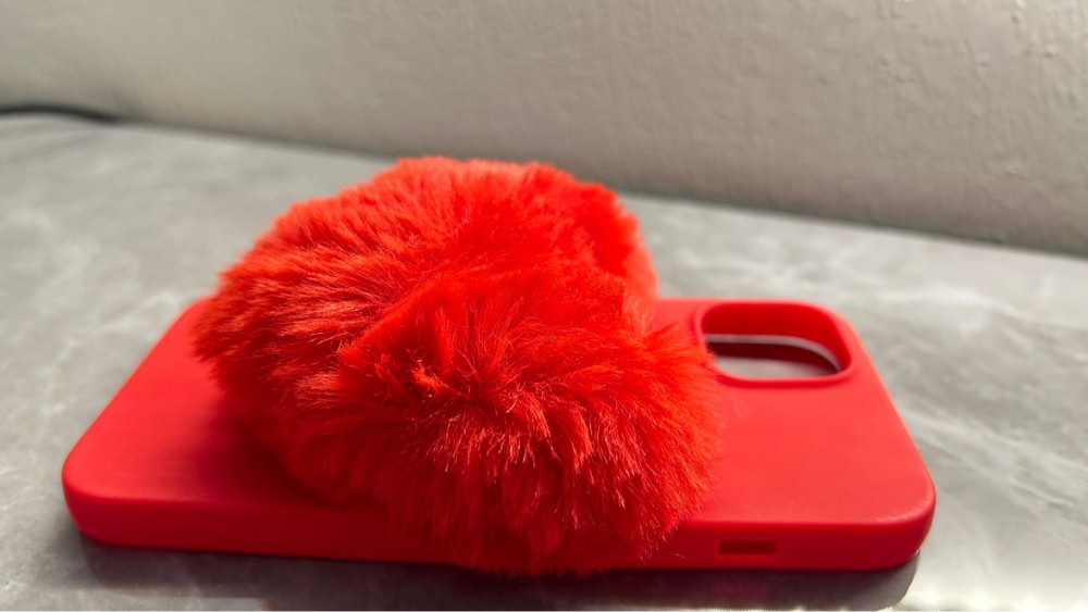 iPhone cases - 4