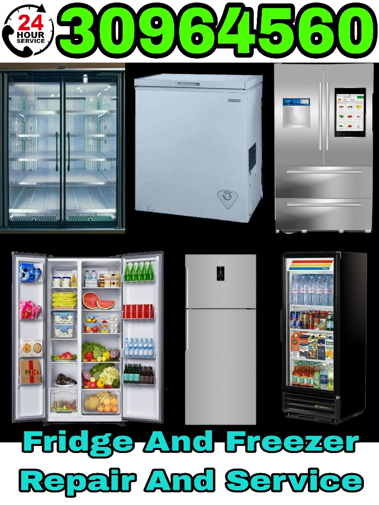 Fridge repair and Service - 1