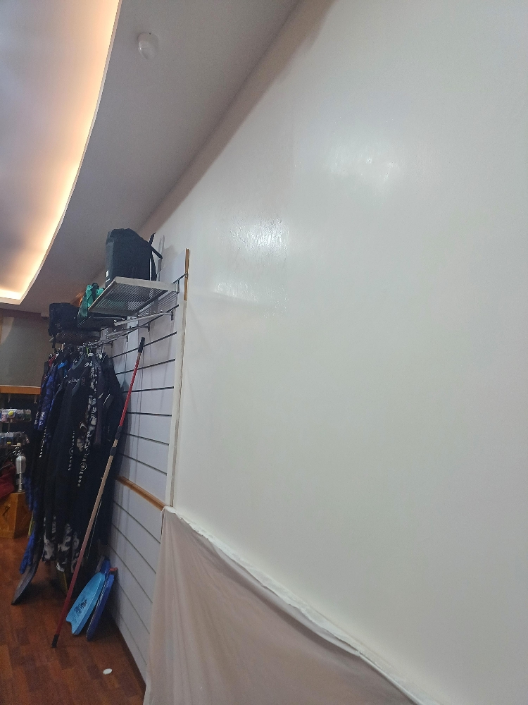 painting and mantanance work - 2