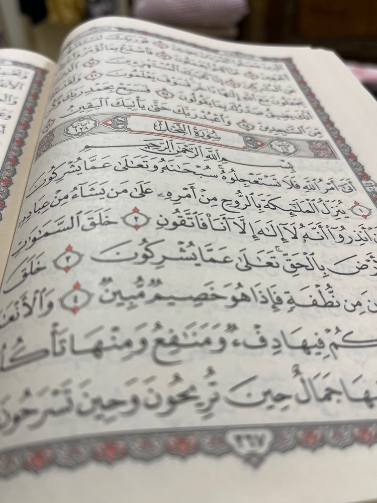 مدرسة قرآن  - 1