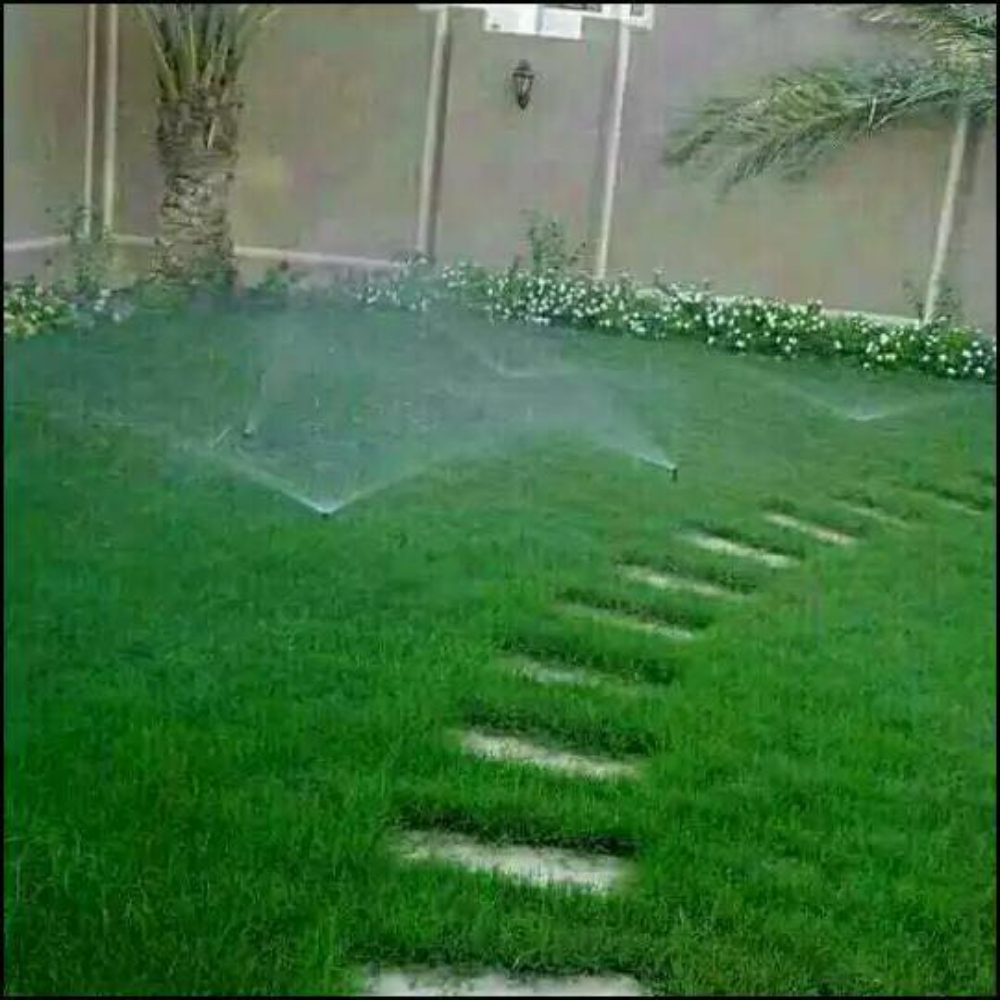 زراعة حدائق - 11