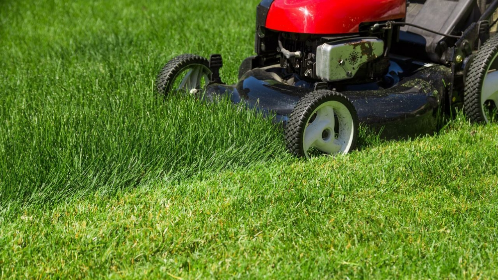 متابعه الحديقه وقص العشب - 2