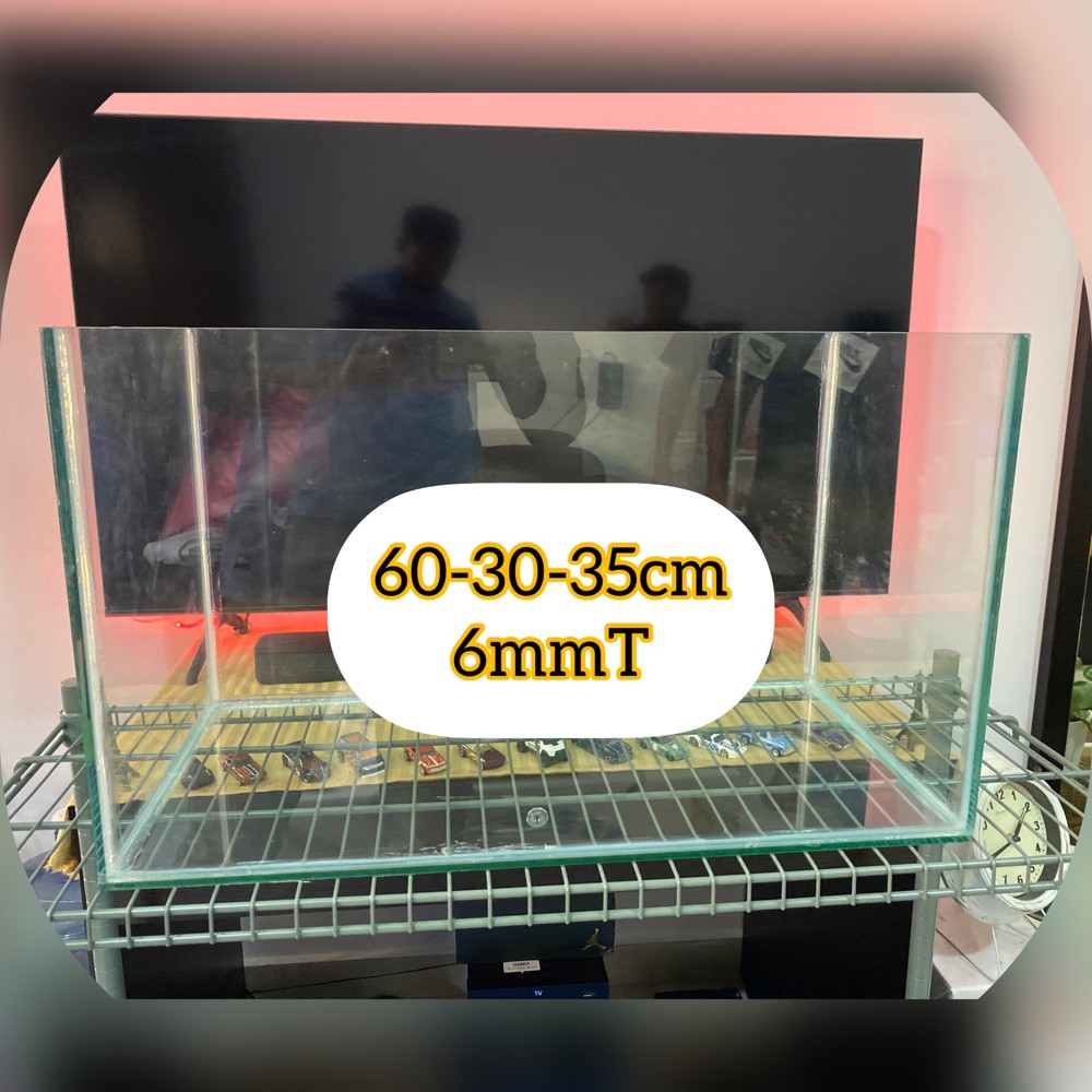 aquarium ( tank ) - 3