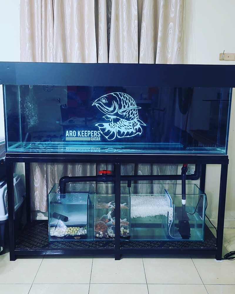 aquarium ( tank ) - 12