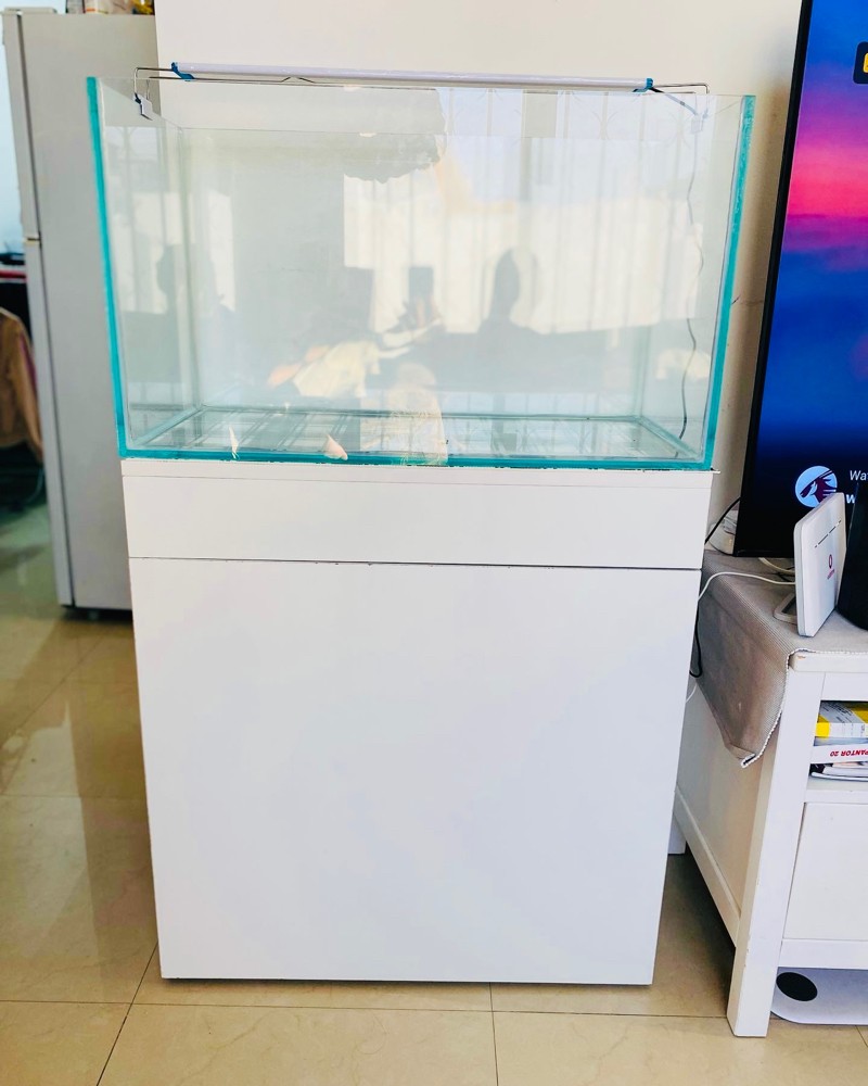 aquarium ( tank ) - 8