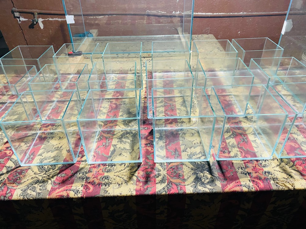 aquarium ( tank ) - 15