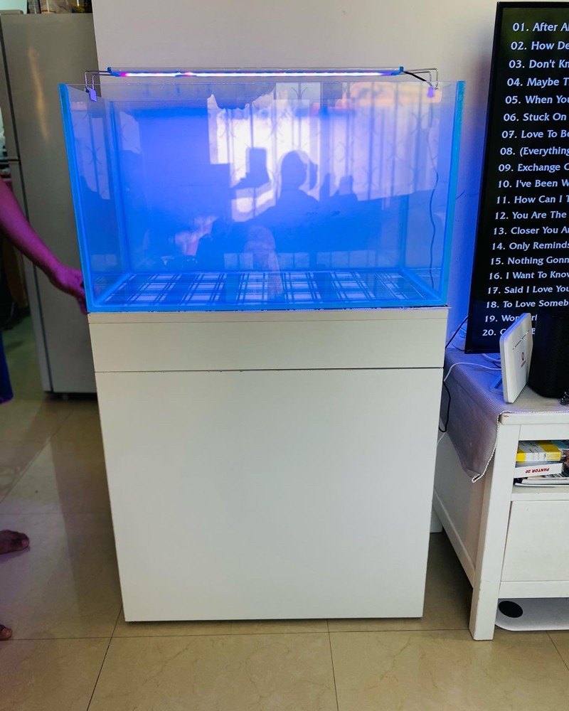 aquarium ( tank ) - 10