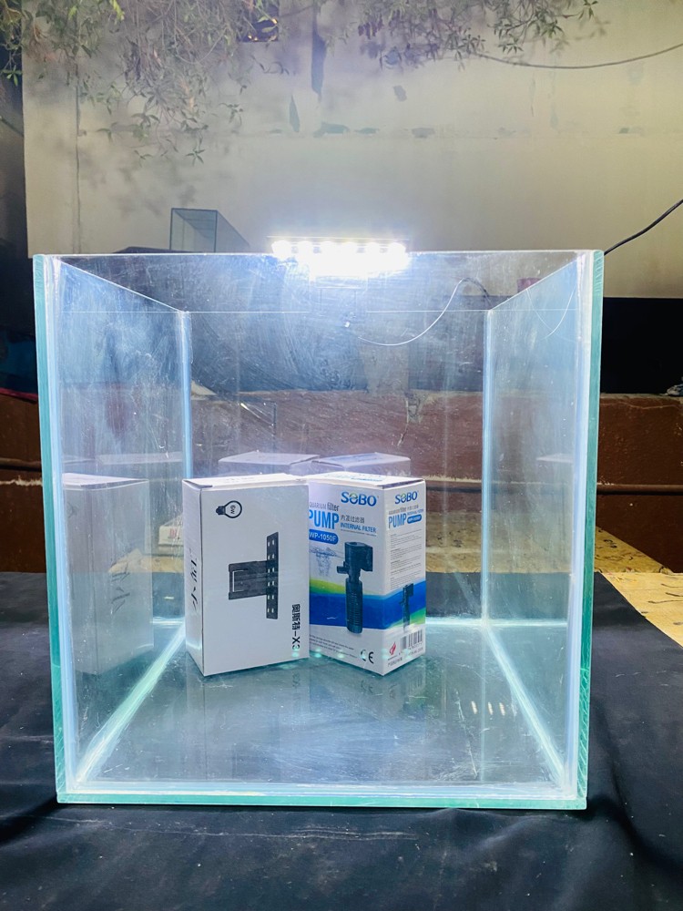 aquarium ( tank ) - 7