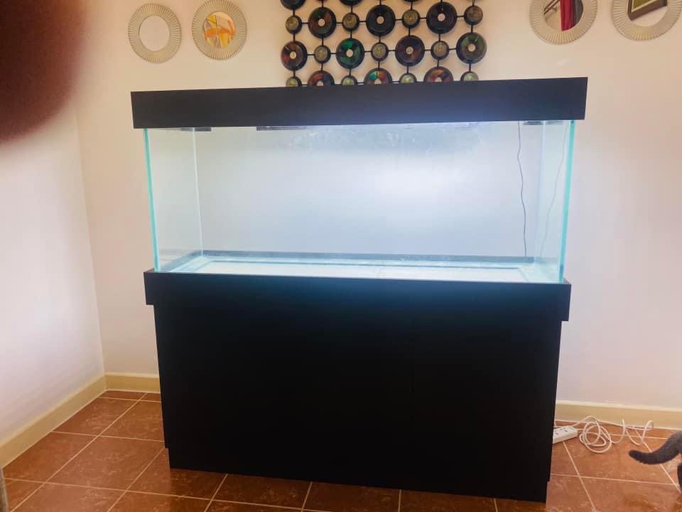 aquarium ( tank ) - 9