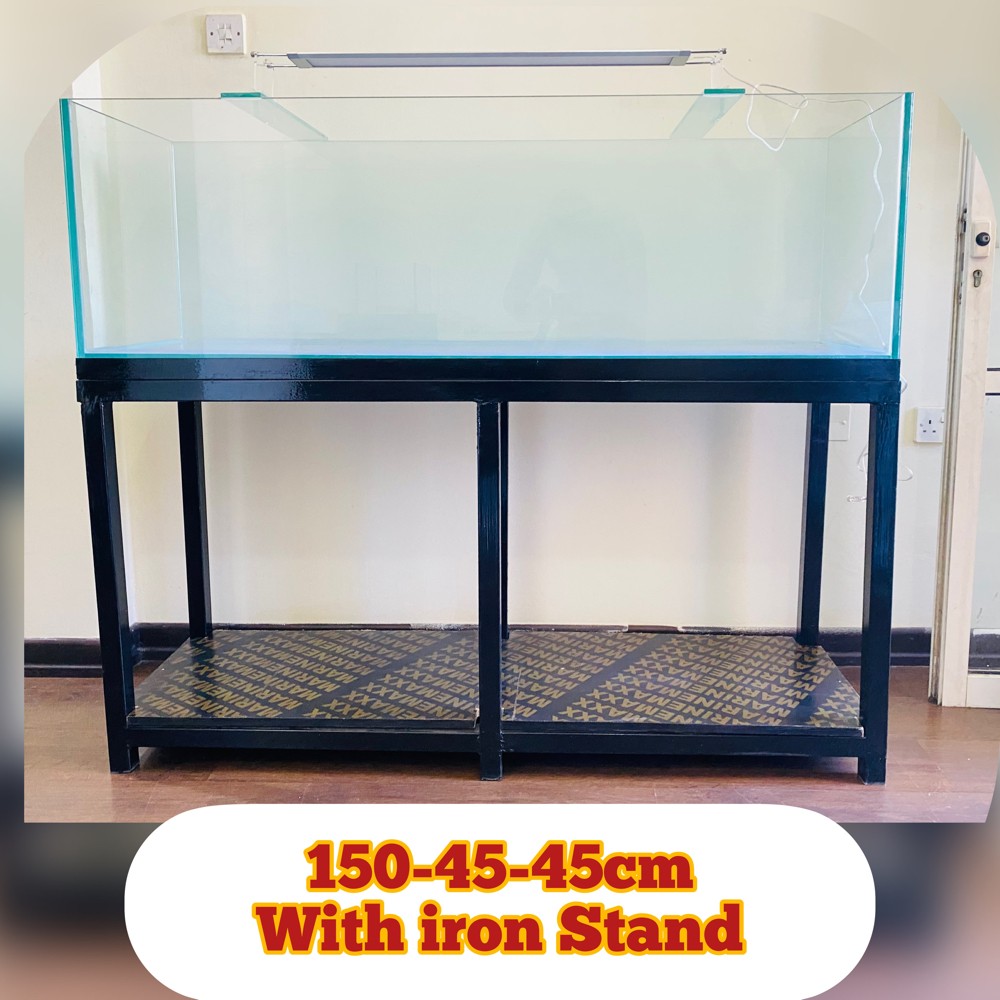 aquarium ( tank ) - 11