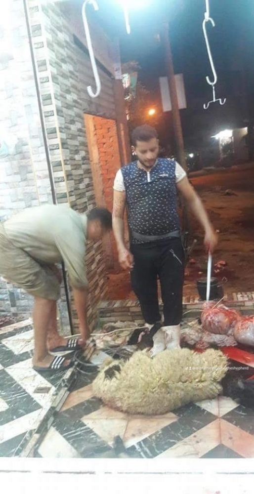ابو محمد - 1