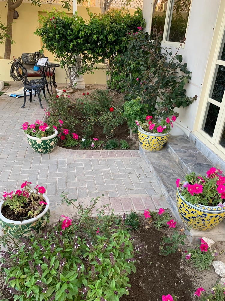 مزارع - 3