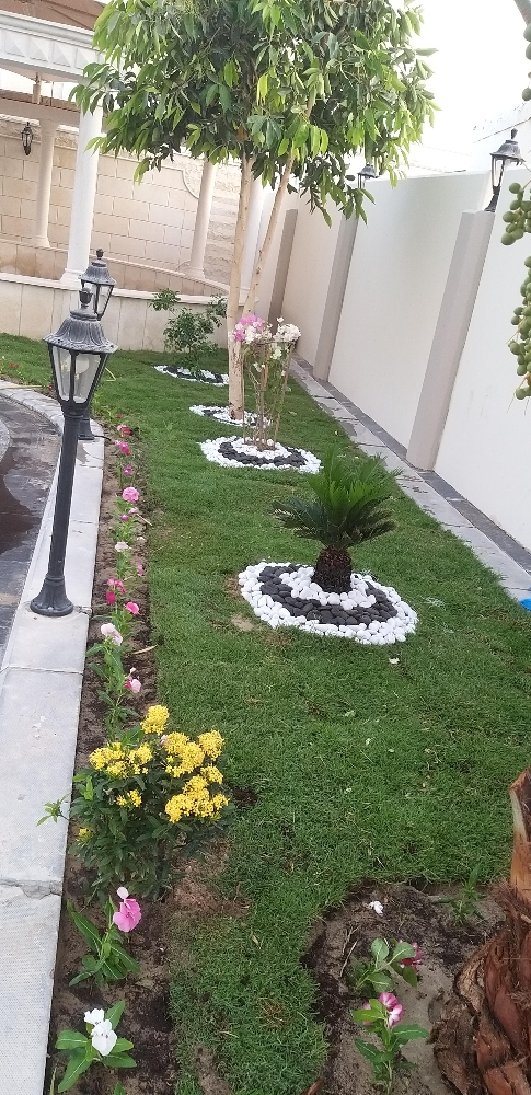 زراعه وديكور - 2