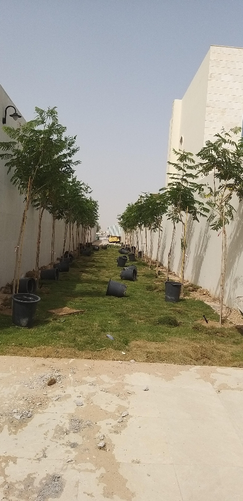 زراعه وديكور - 1