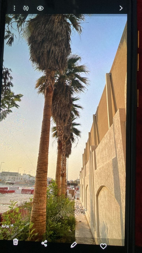 الزراع حمد - 4