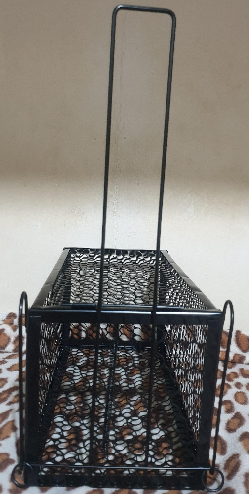 خداشه لصيد جميع أحجام الفئران - 2