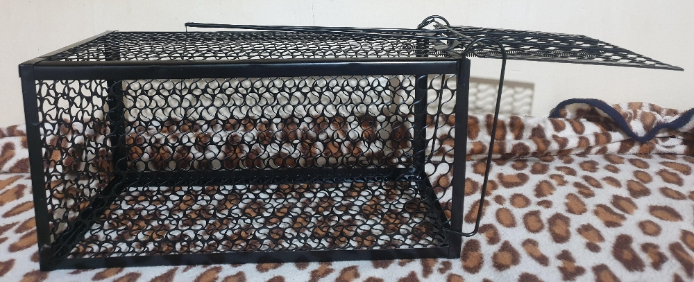 خداشه لصيد جميع أحجام الفئران - 1