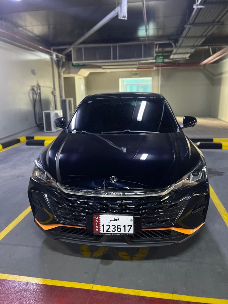 DONGFENG - 1
