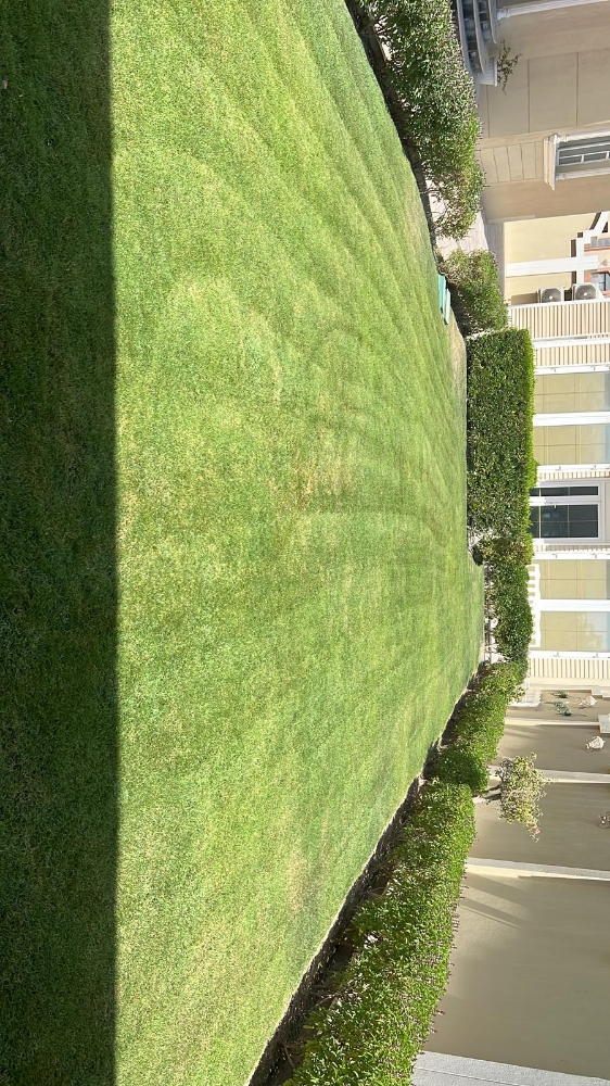 تنسيق الحدائق المنزليه - 2