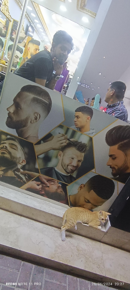 hair cutting saving beard arobic - 3