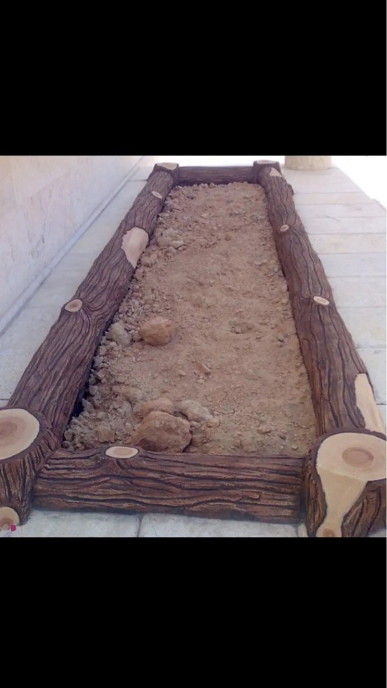 قطع لا شجار رزاعه النخيل  - 2