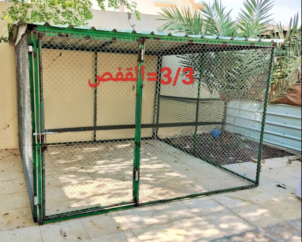 Gofas mal Hamam 3/3 - 3