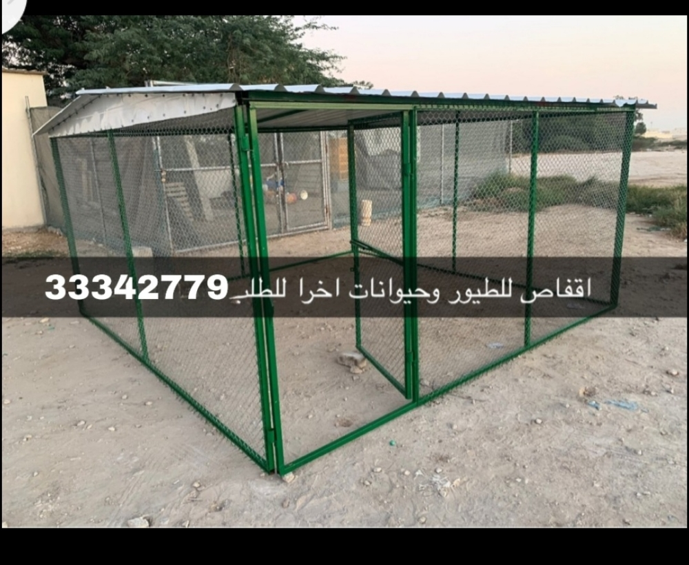 Gofas mal Hamam 3/3 - 9