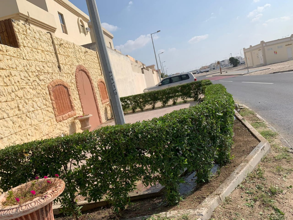 العناية بالحدائق - 12