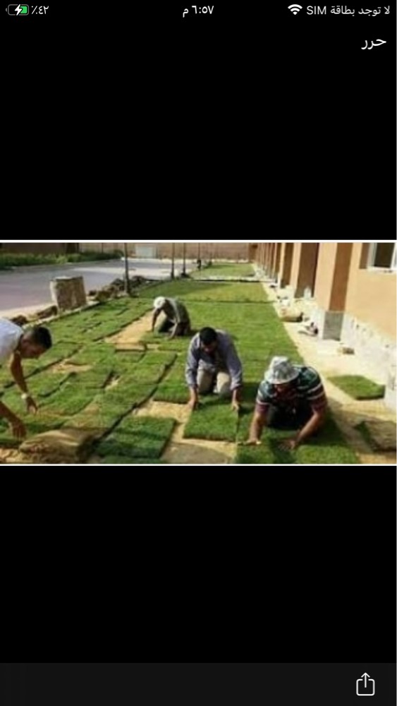 عمل قص الحشائش وتنظيفها  - 2