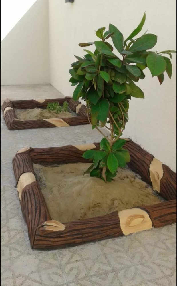 زراعه الحدايق - 4