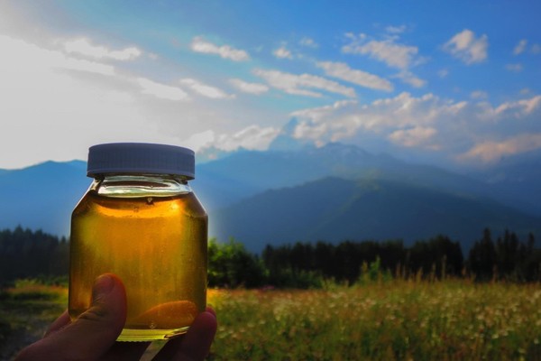 ORGANIC MOUNTAIN & WHITE HONEY - 4