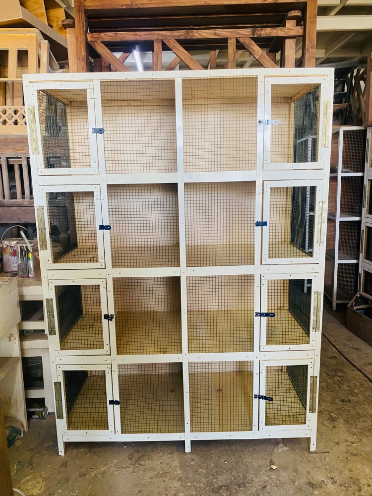 Bird cage - 2