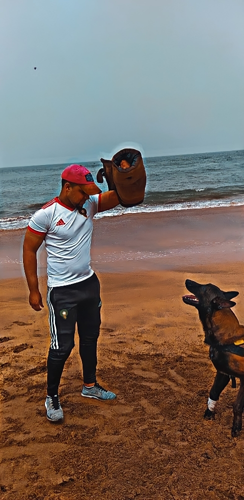 .Dog - 4
