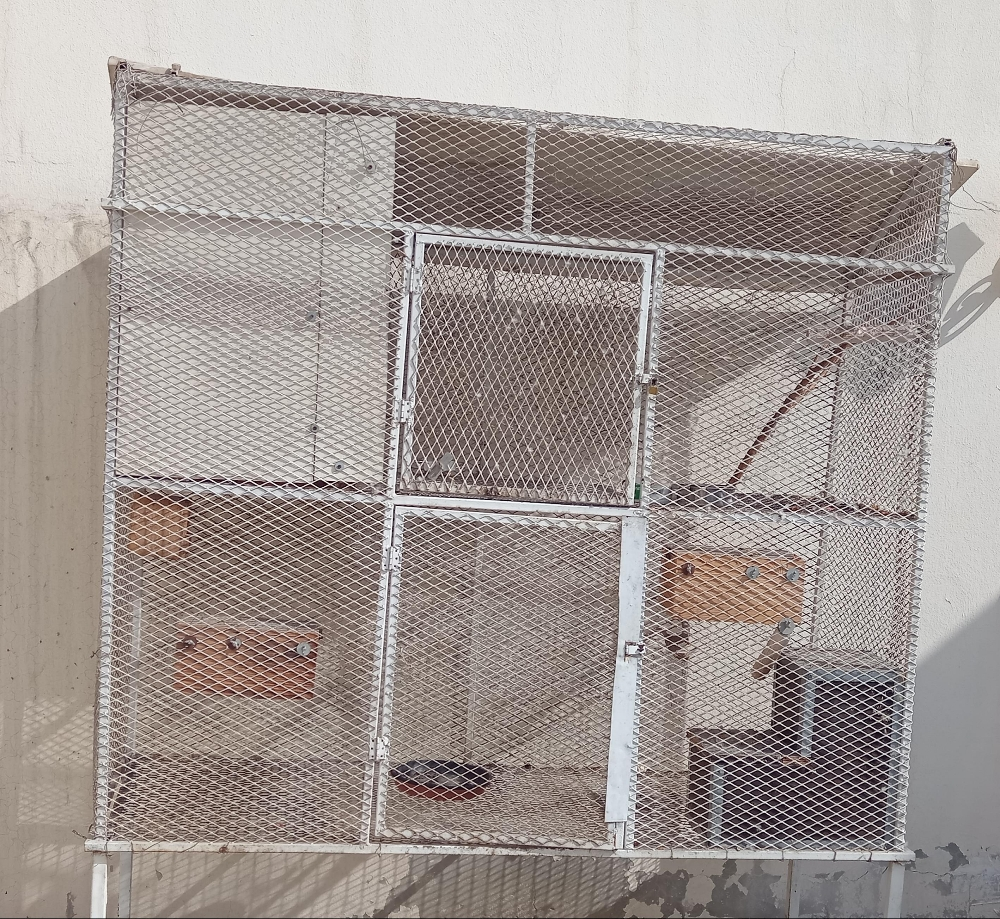 nest - 1