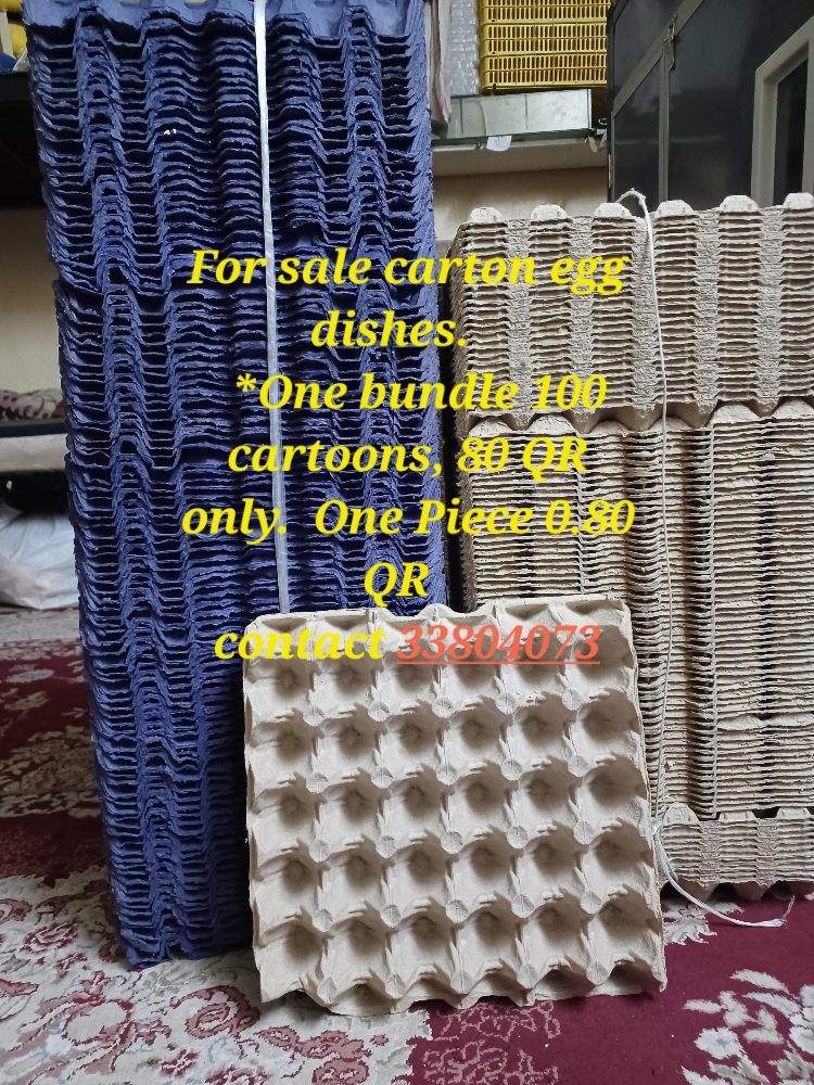 For sale carton egg dishes. - 1