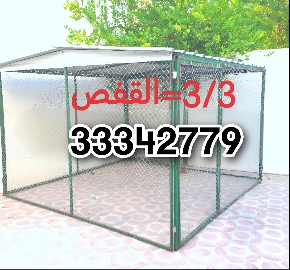 Pigeon cage - 1