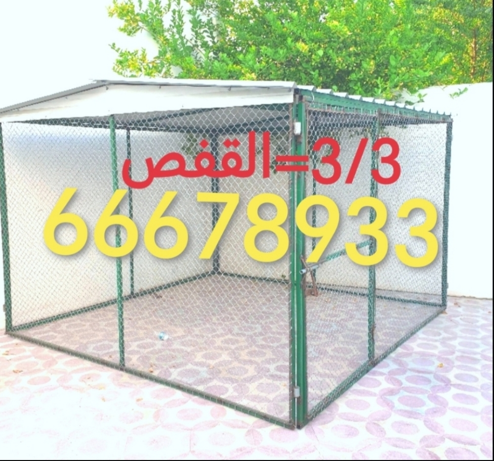 Pigeon cage - 3