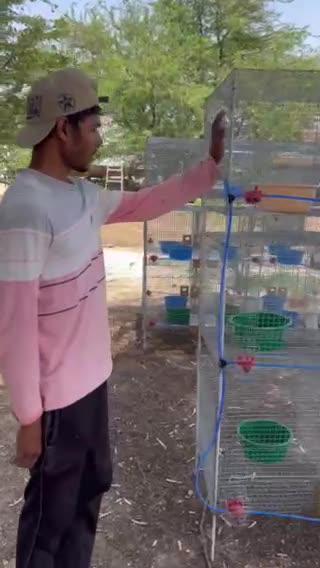 حمام/ محككر - 2