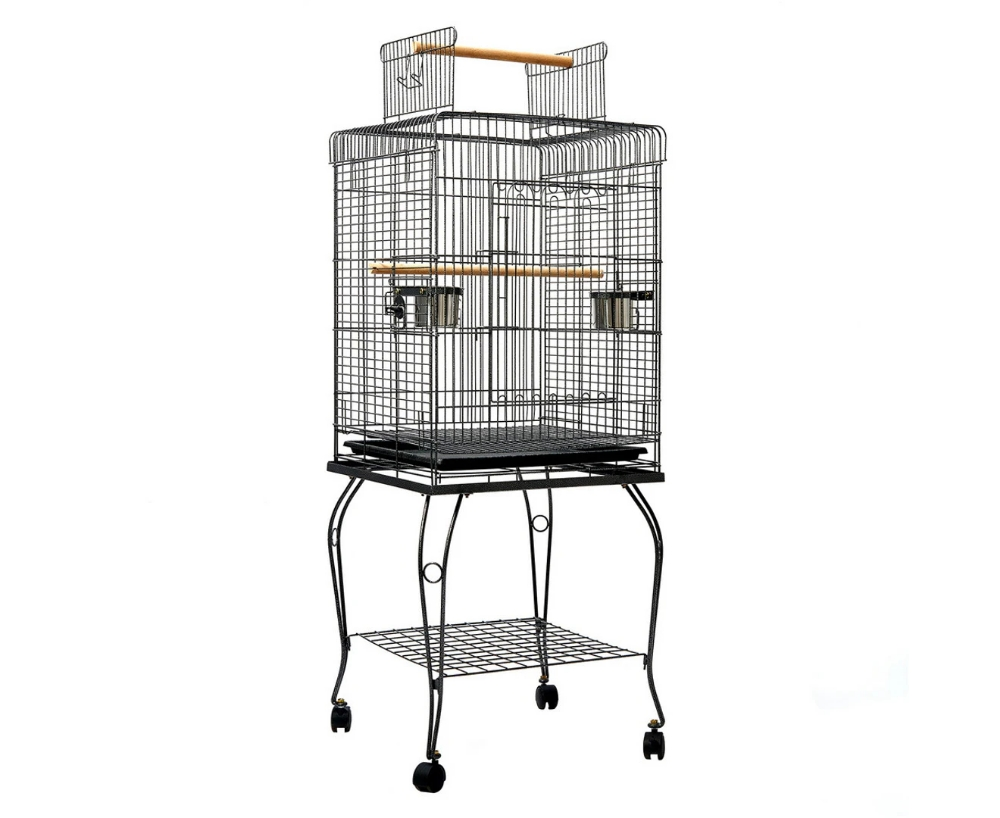 parrot cage's new - 1