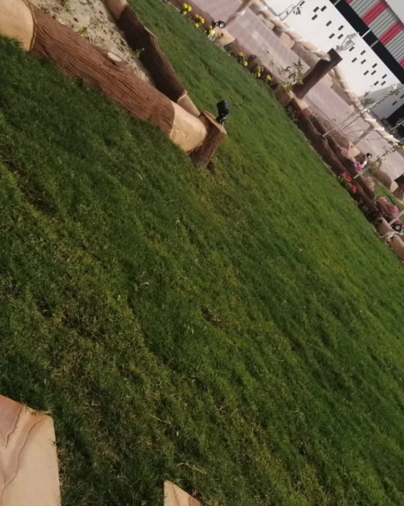 زراعه وديكور - 3