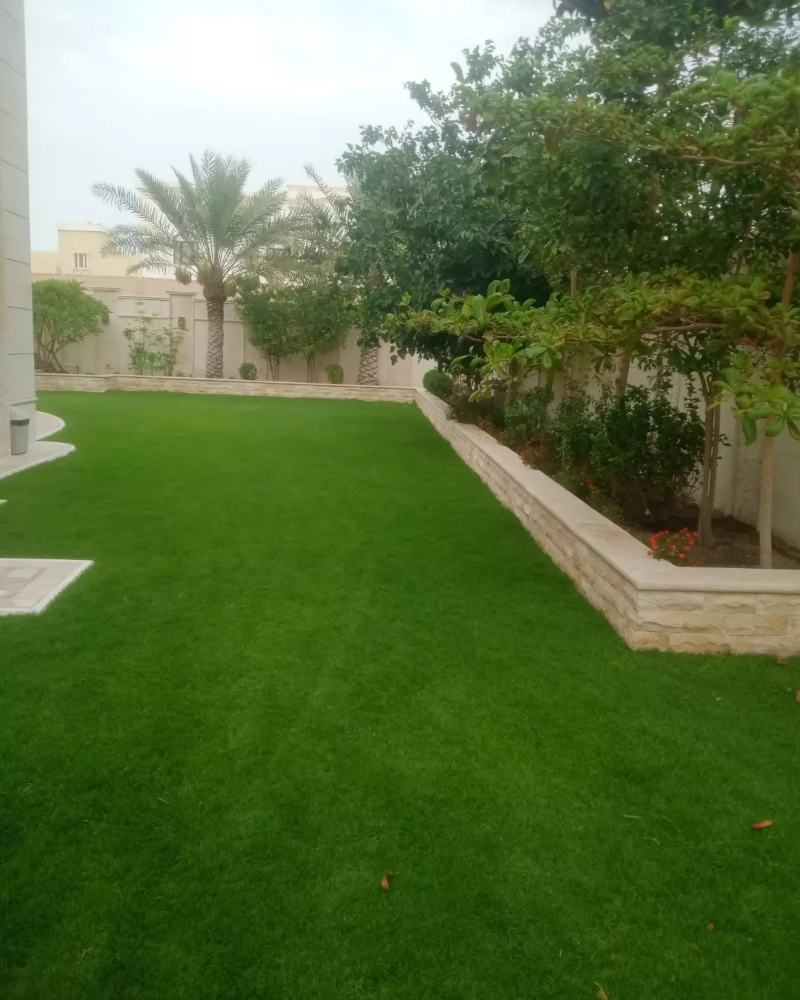 زراعه وديكور - 1