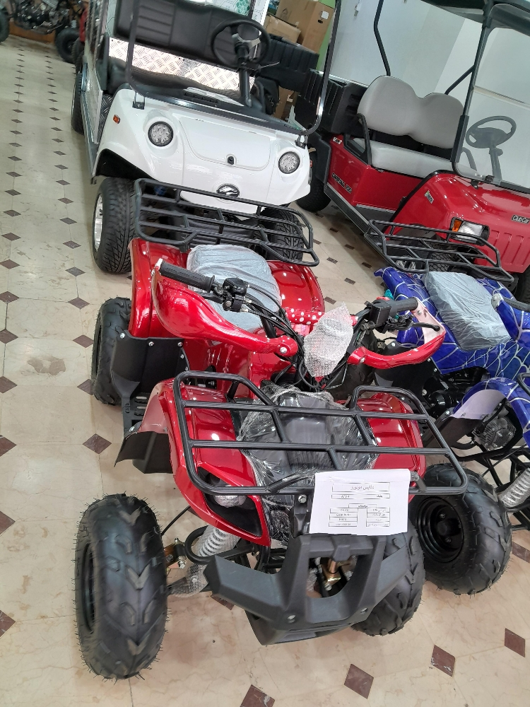بطابط - 6