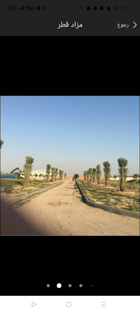 قطع الأشجار وزراعه النخيل - 4