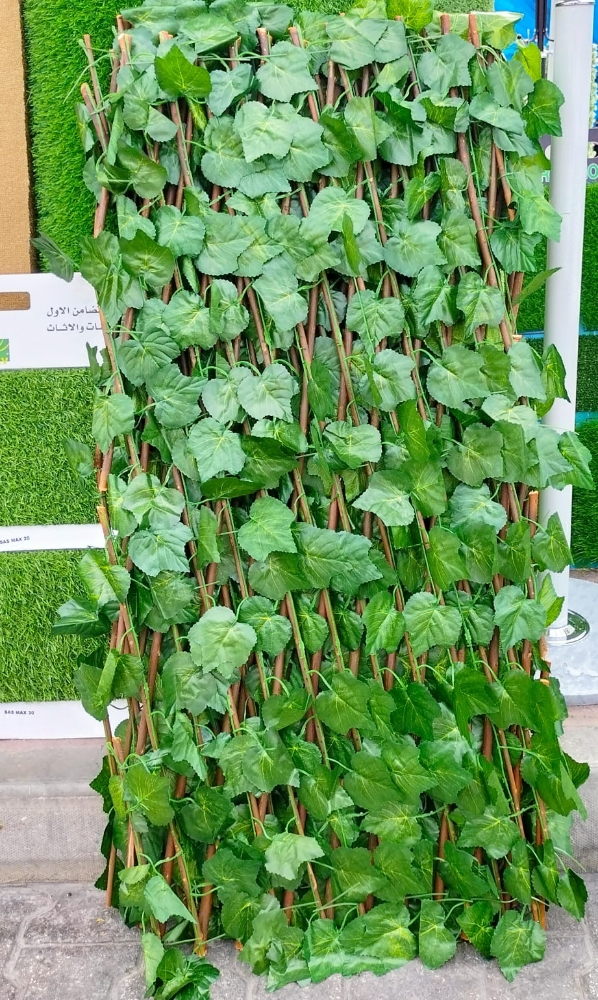 grass carpat, green carpat - 3