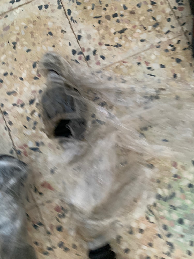 قطع غيار هوندا سفيك - 7