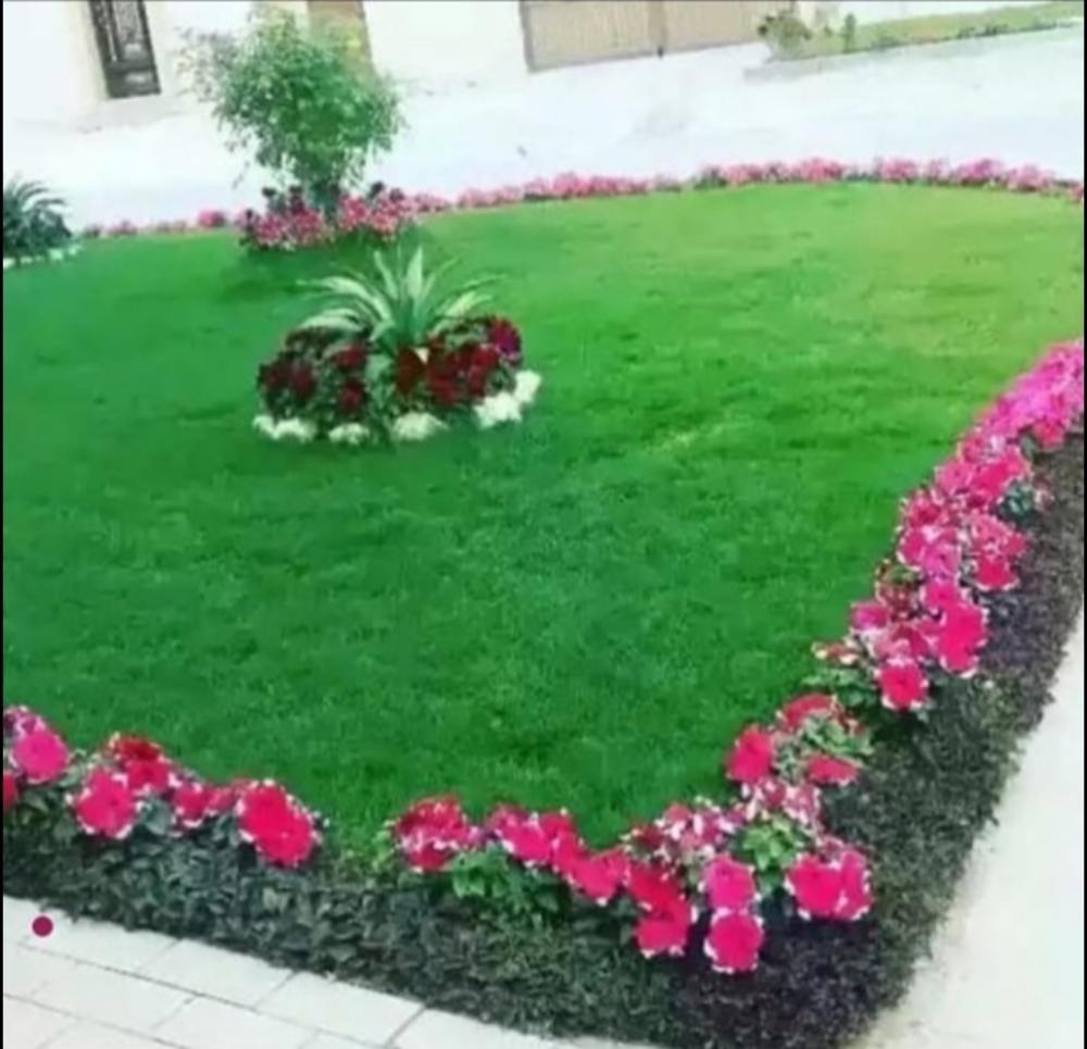 زراعة - 1